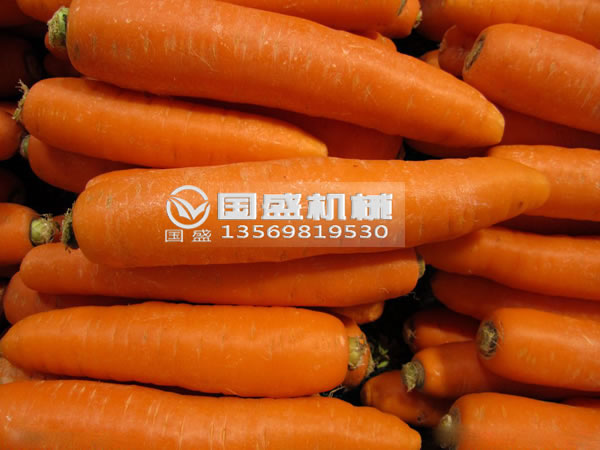 91香蕉视频在线观看免费胡萝卜脱水挤压机 91香蕉视频在线观看免费胡萝卜脱水挤压机
