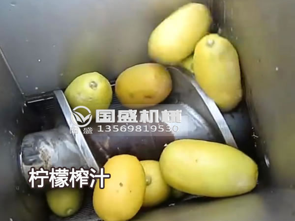91香蕉视频在线观看免费新款大型柠檬榨汁机 91香蕉视频在线观看免费新款大型柠檬榨汁机