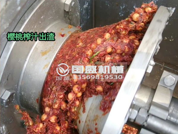 91香蕉视频在线观看免费樱桃螺旋压榨脱水机 91香蕉视频在线观看免费樱桃螺旋压榨脱水机